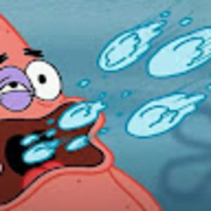 Meet your Posher, Brayden